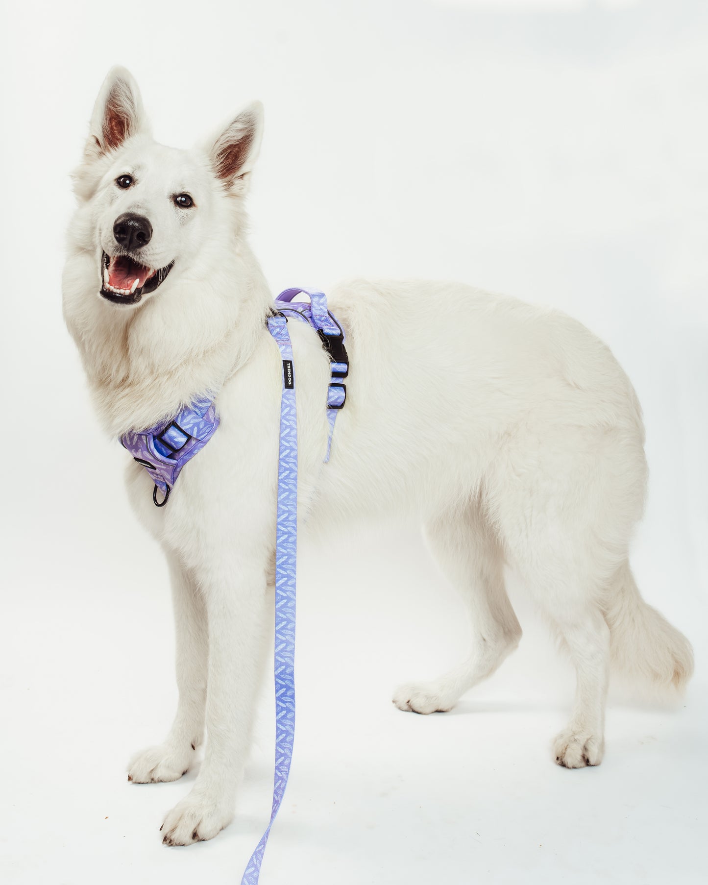 Birds of a Feather Hydro-Guard Lead | Waterproof & Durable