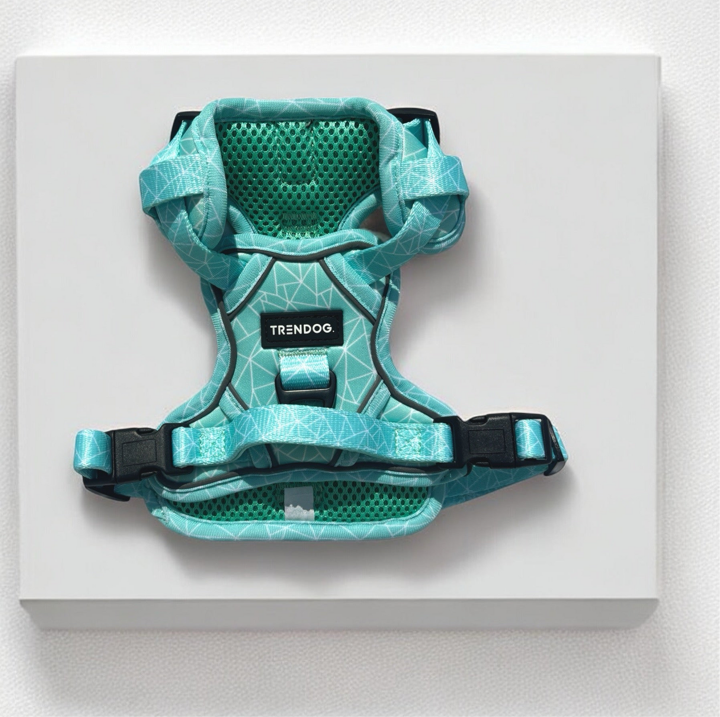 Aqua-Cadabra Adjustable Dog Harness | Stylish and Safe