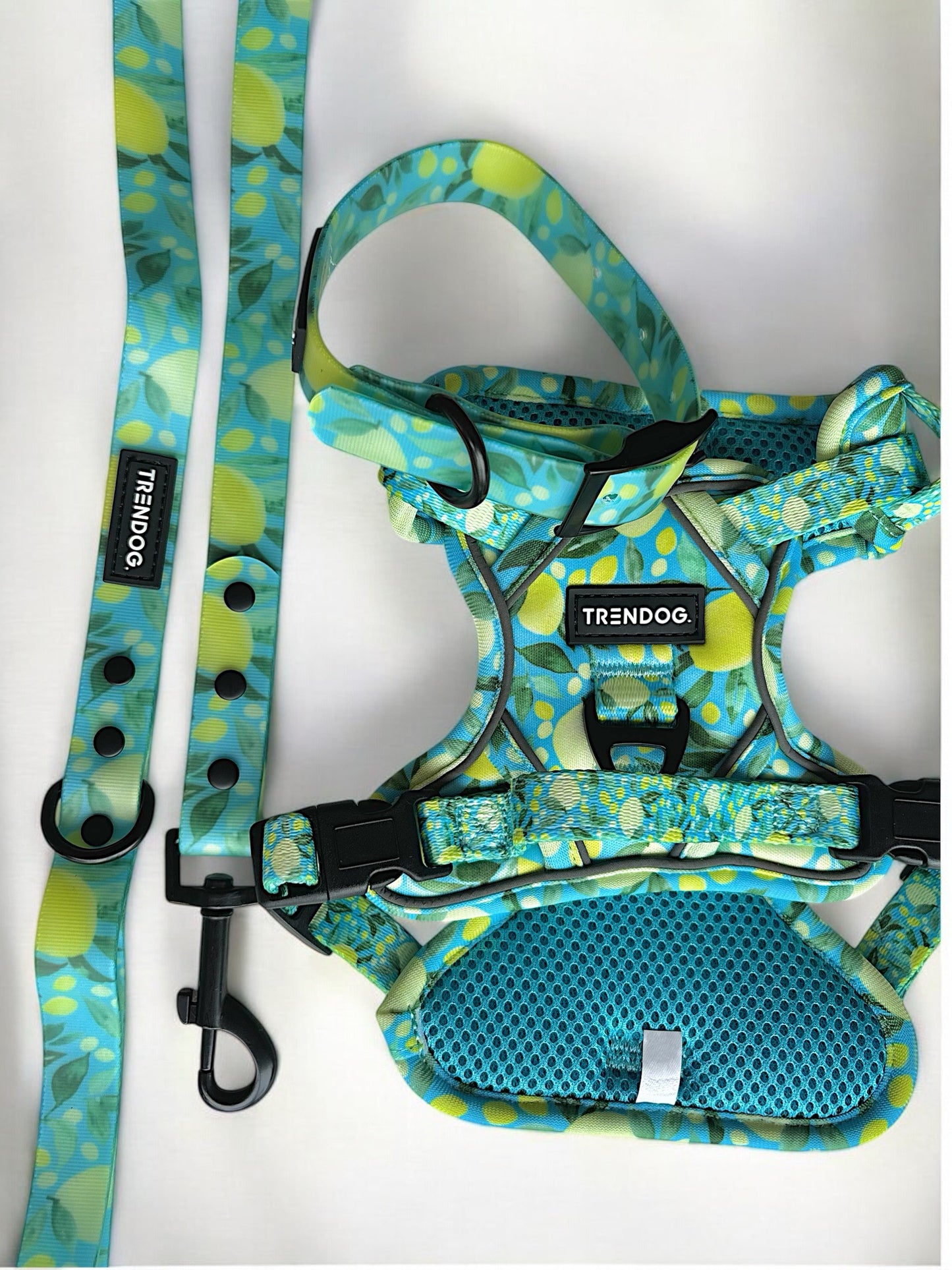 Limone Adjustable Dog Harness | Stylish and Safe