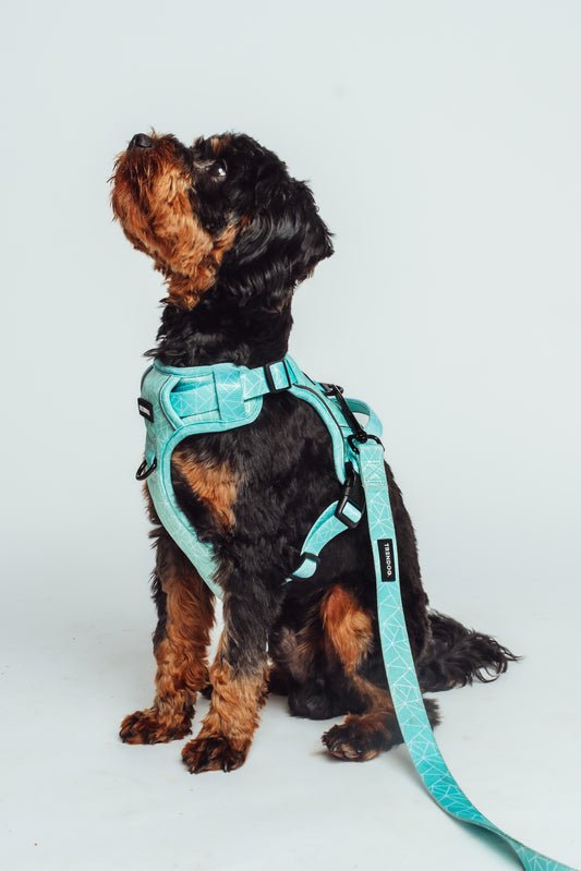 Aqua-Cadabra Dog Hydro-Guard Lead | Waterproof & Durable