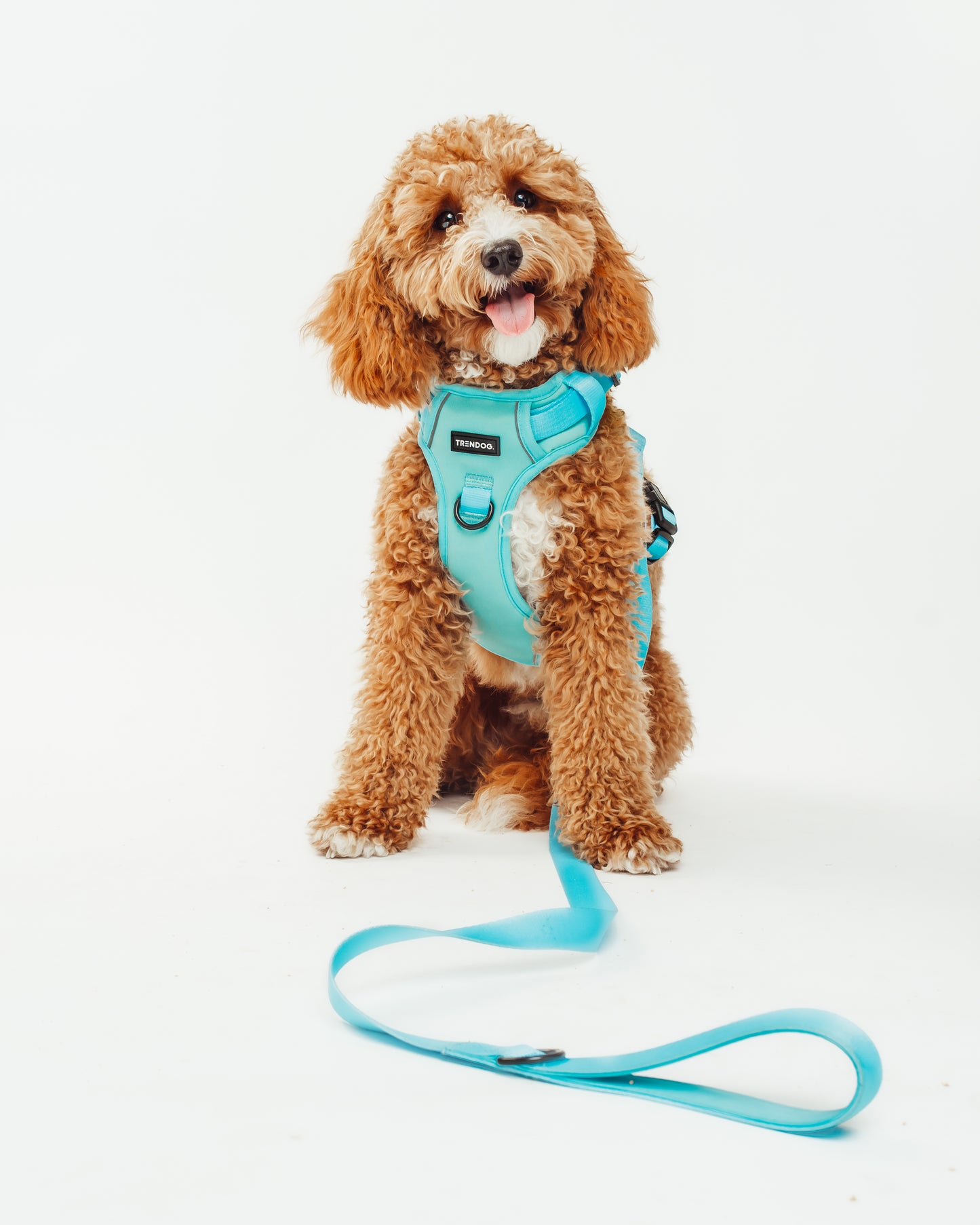 Arctic Breeze Hydro-Guard Lead | Waterproof & Durable