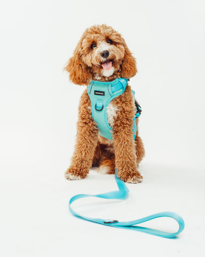 Arctic Breeze Hydro-Guard Lead | Waterproof & Durable