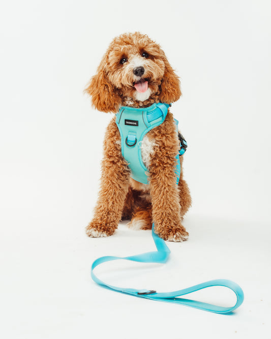 Arctic Breeze Hydro-Guard Lead | Waterproof & Durable