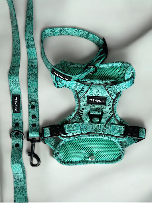 Meadow Mint Adjustable Dog Harness | Stylish and Safe