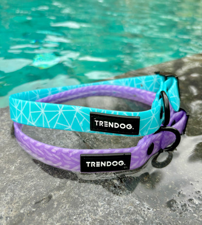 Birds of a Feather Hydro-Guard Collar | Waterproof & Durable