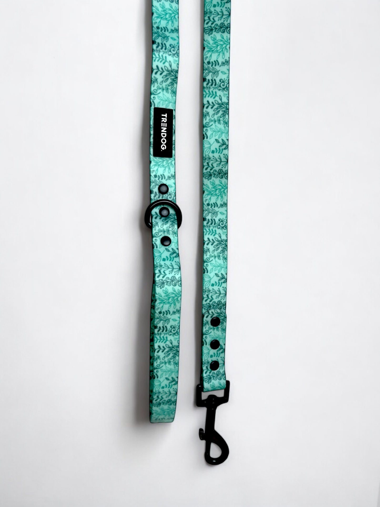 Meadow Mint Hydro-Guard Lead | Waterproof & Durable