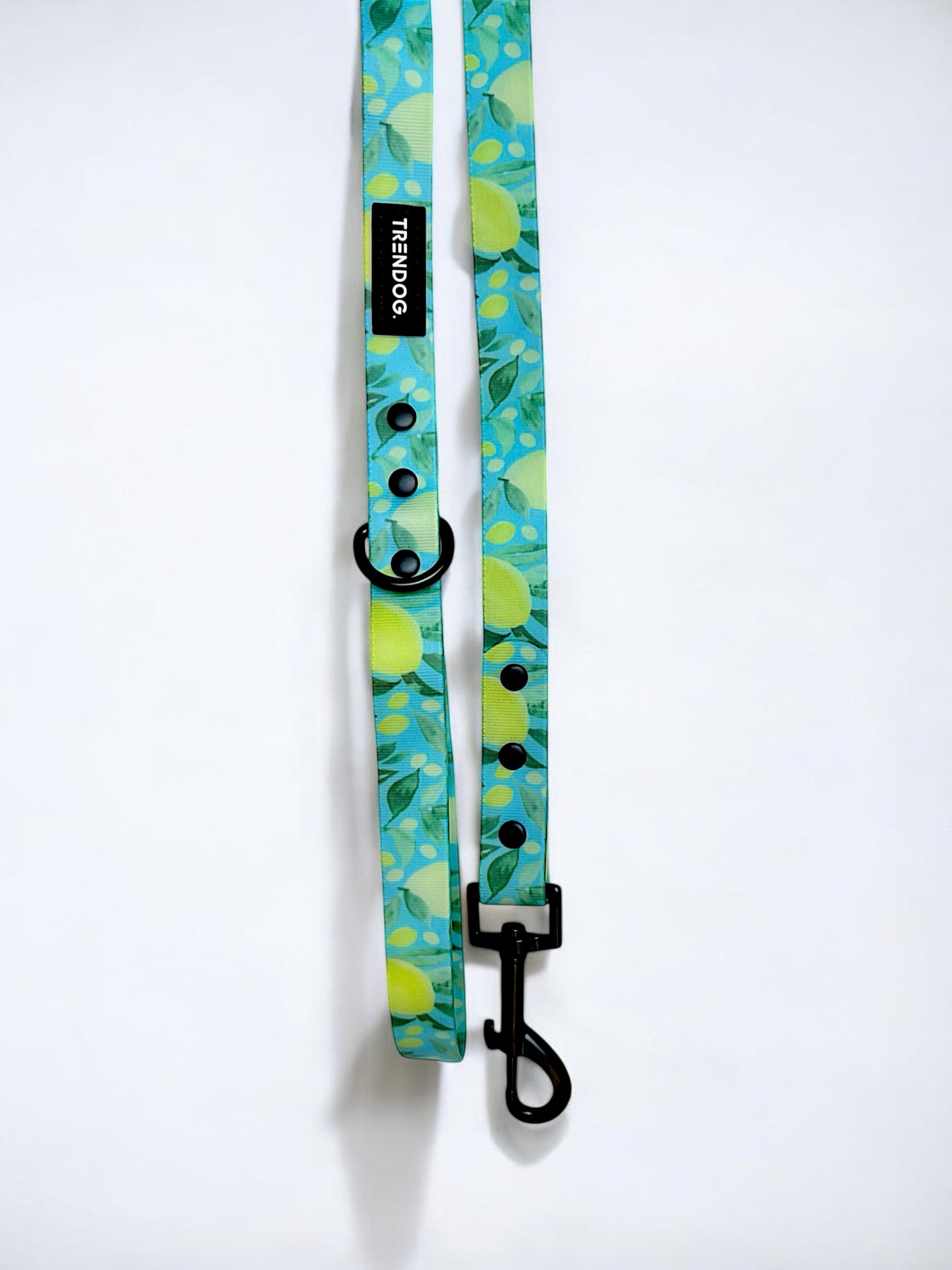 Limone Hydro-Guard Lead | Waterproof & Durable