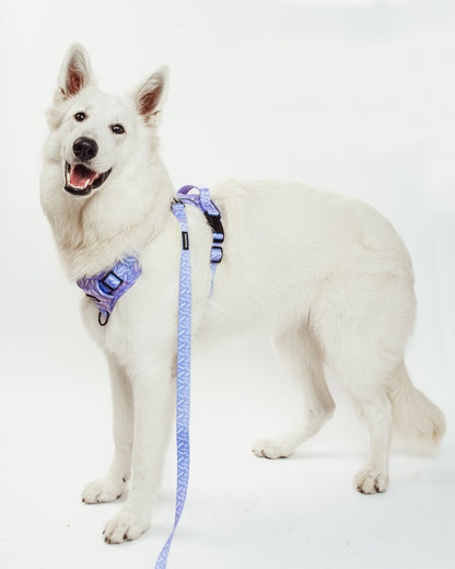 Birds of a Feather Hydro-Guard Lead | Waterproof & Durable
