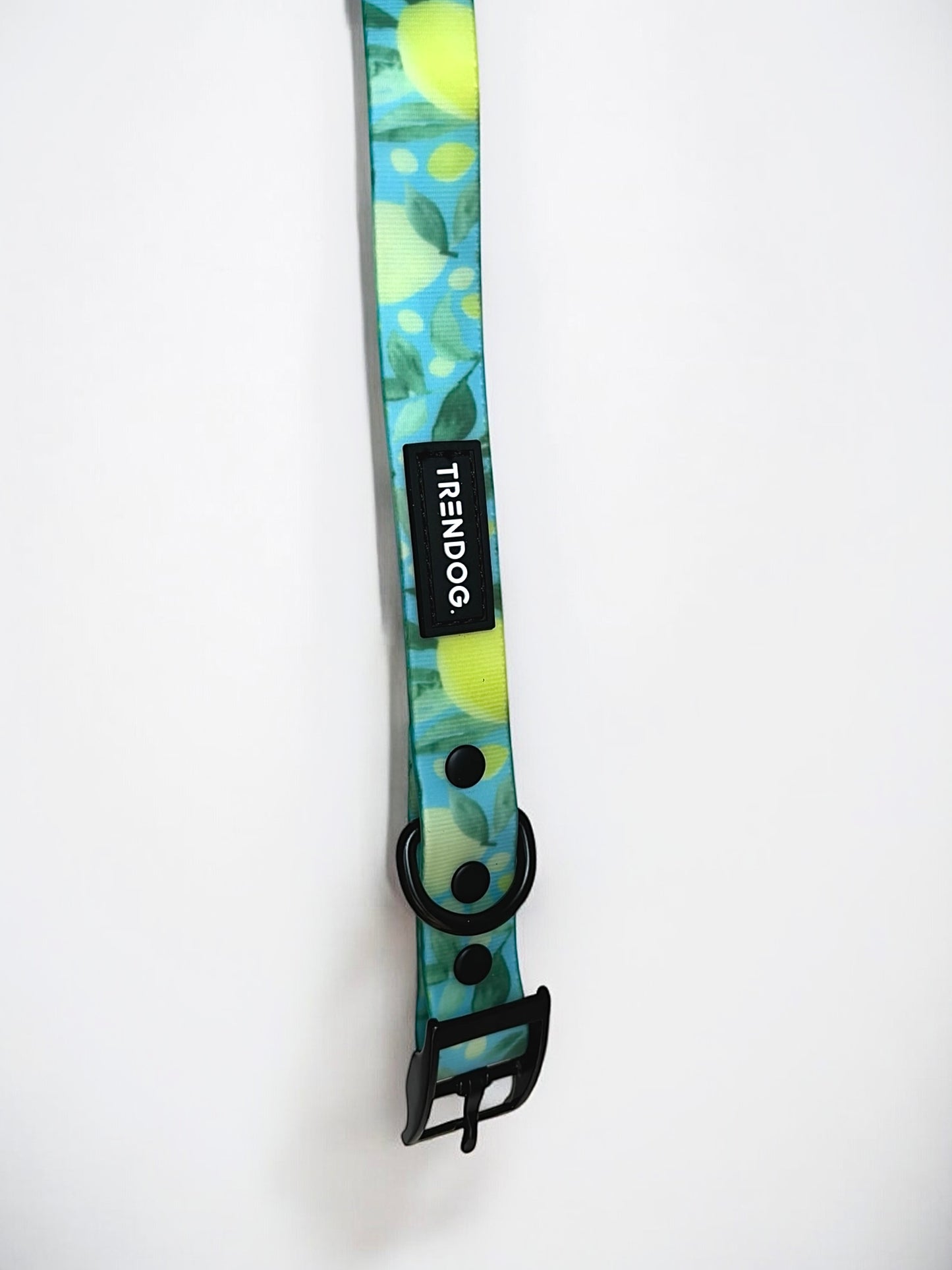 Limone Hydro-Guard Collar | Waterproof & Durable