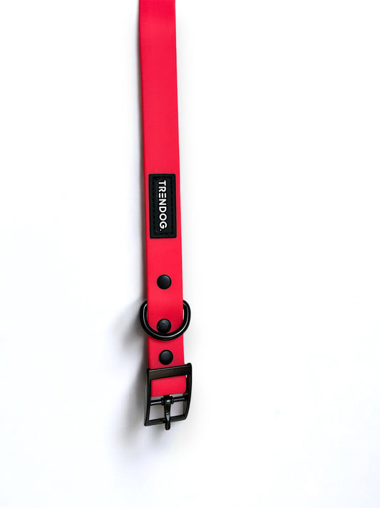 Firestorm Hydro-Guard Collar | Waterproof & Durable